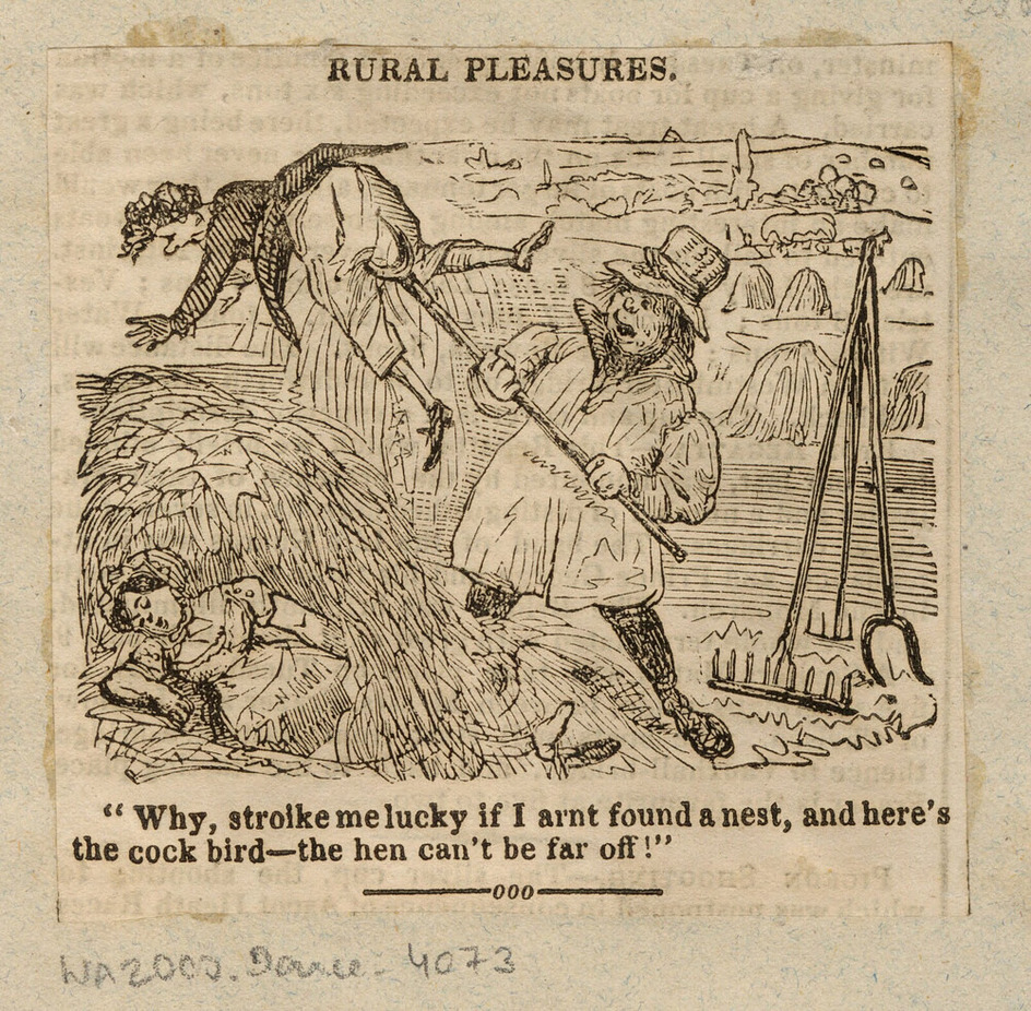 Rural Pleasures