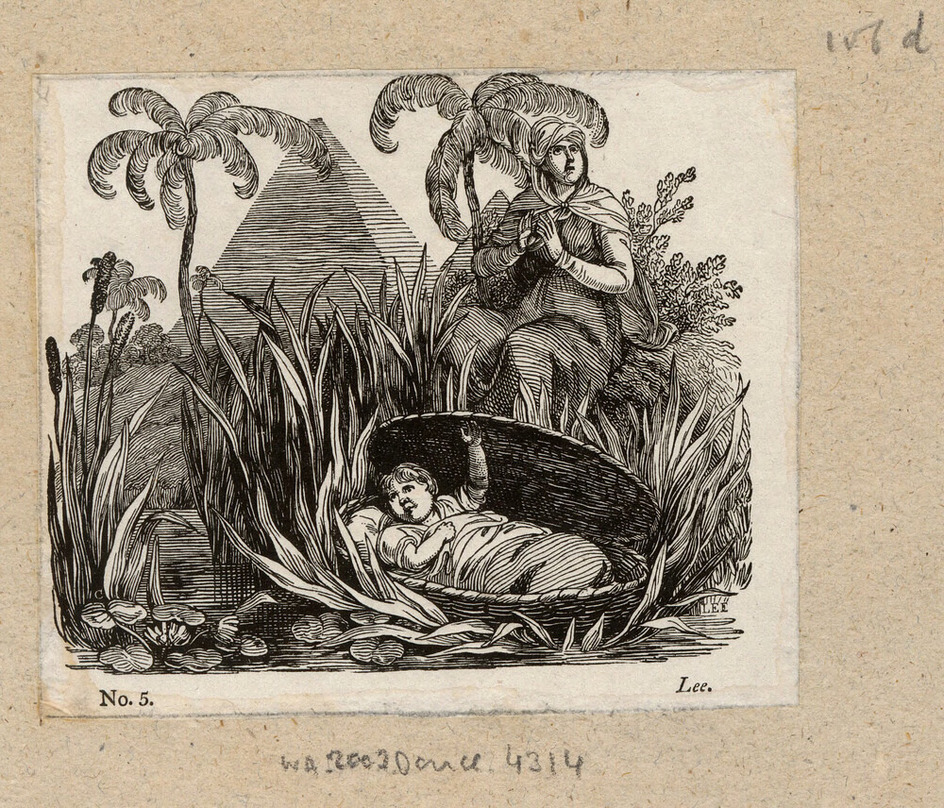 Moses in the bullrushes