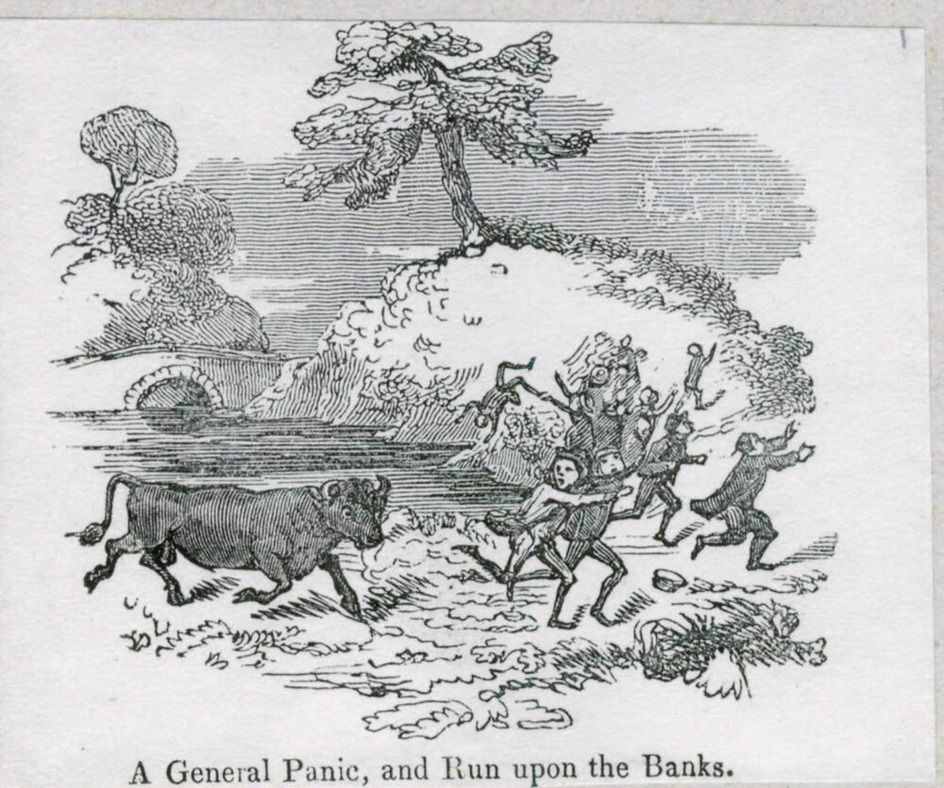 A General Panic, and Run upon the Banks