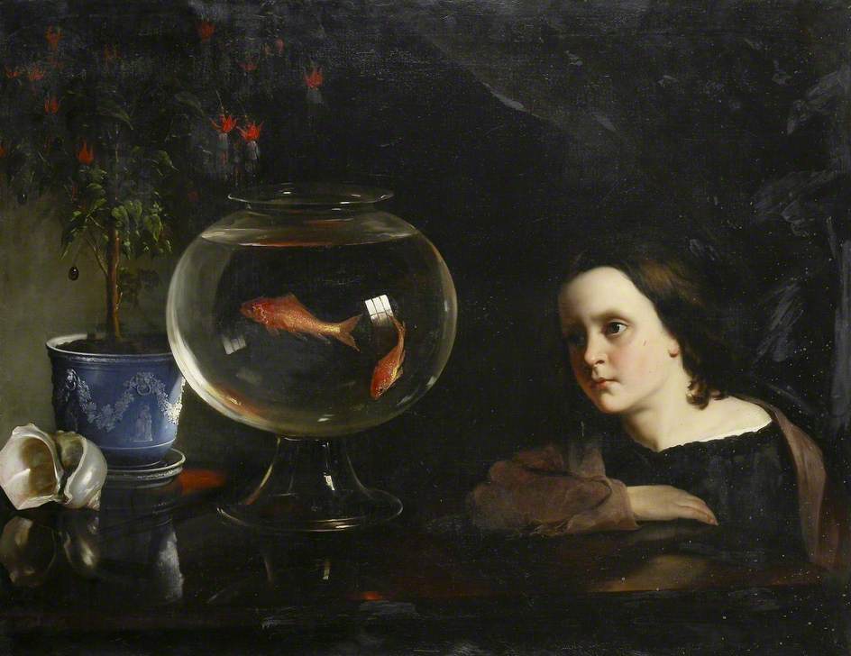 The Goldfish Bowl