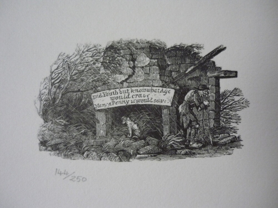 Ruined Cottage