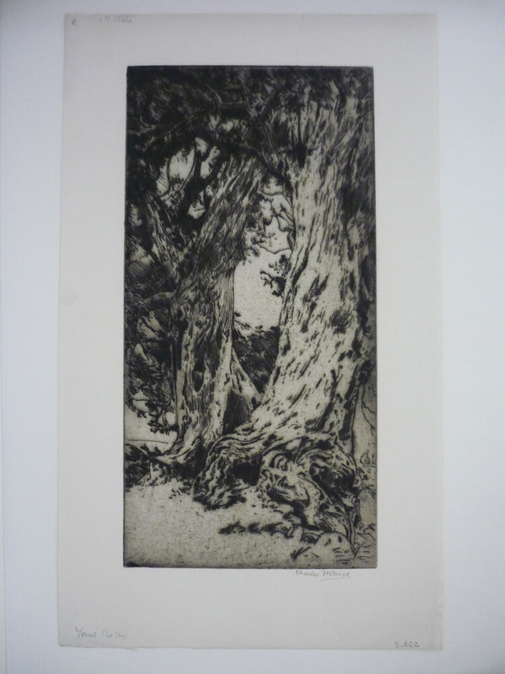 Wordsworth's Yews