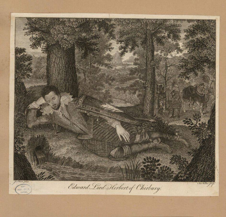 Portrait of Herbert of Cherbury