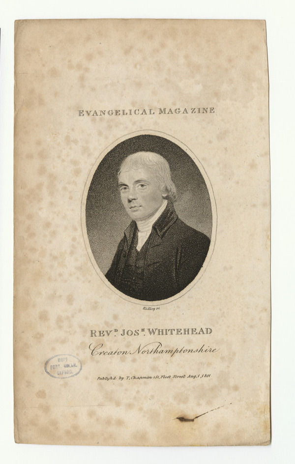 Portrait of Jos Whitehead