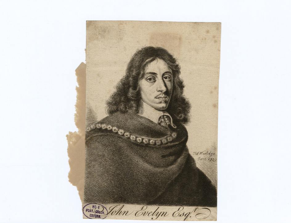 Portrait of J. Evelyn