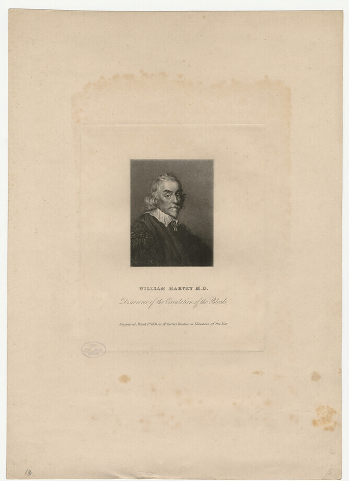 Portrait of Dr W. Harvey