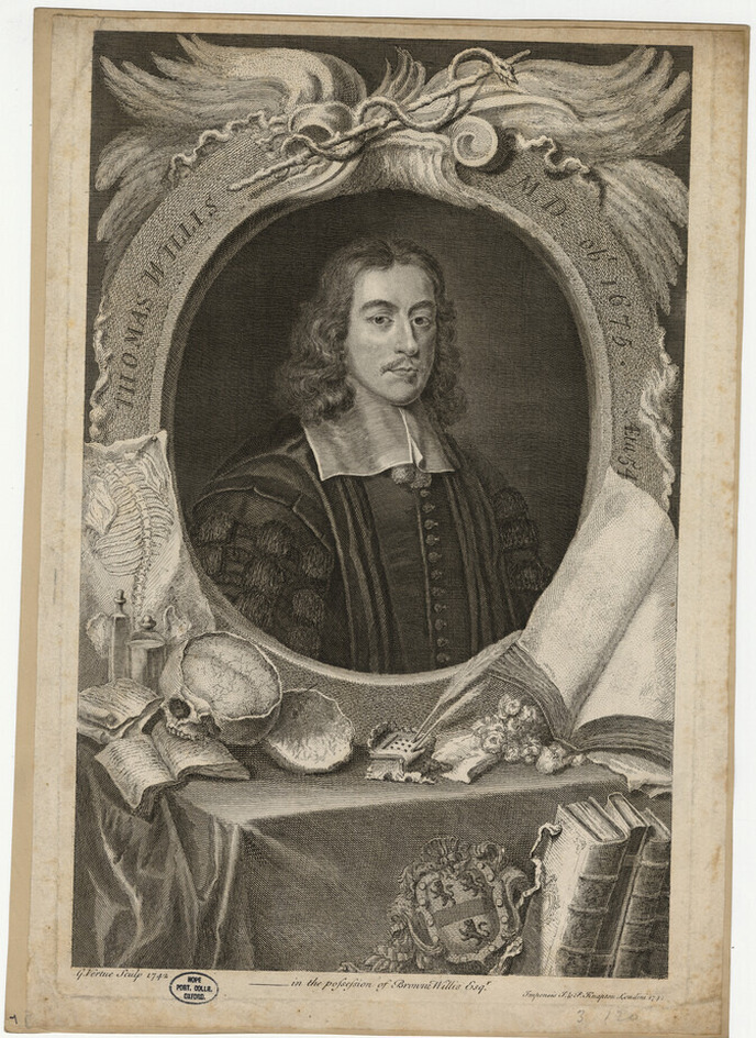 Portrait of Dr Thomas Willis