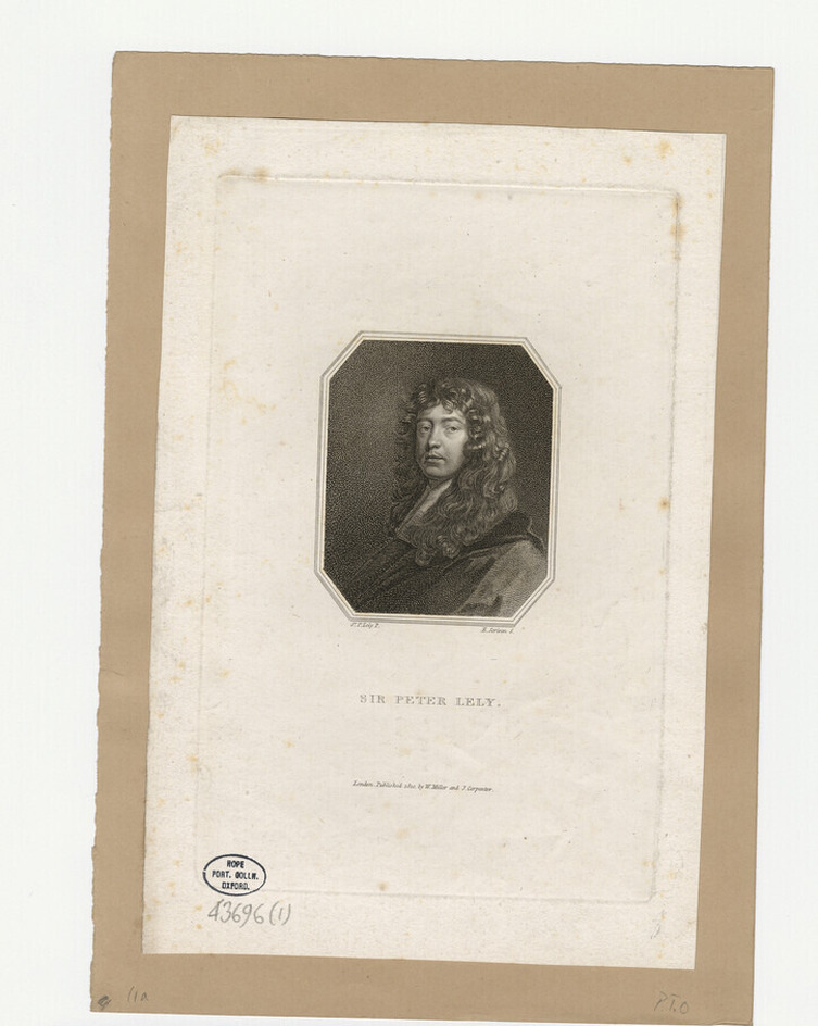 Portrait of P. Lely