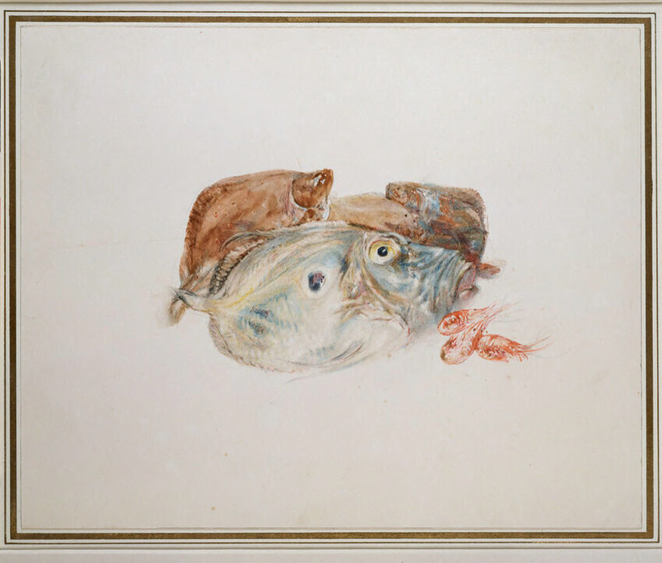 Study of Fish