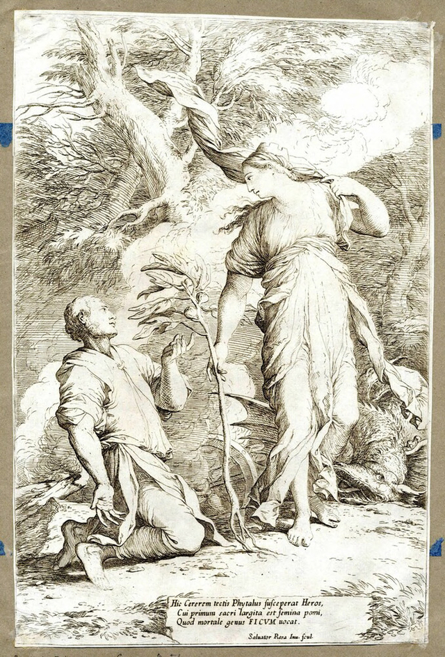 Ceres and Phytalus