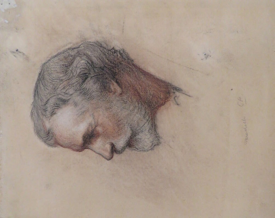 Portrait of George Meredith