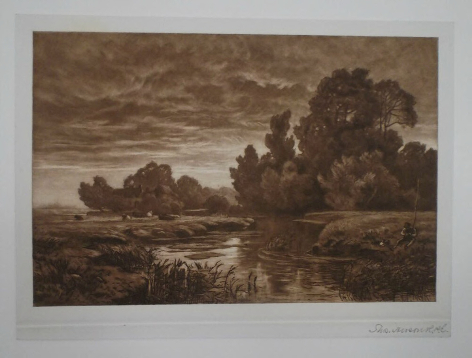River Landscape