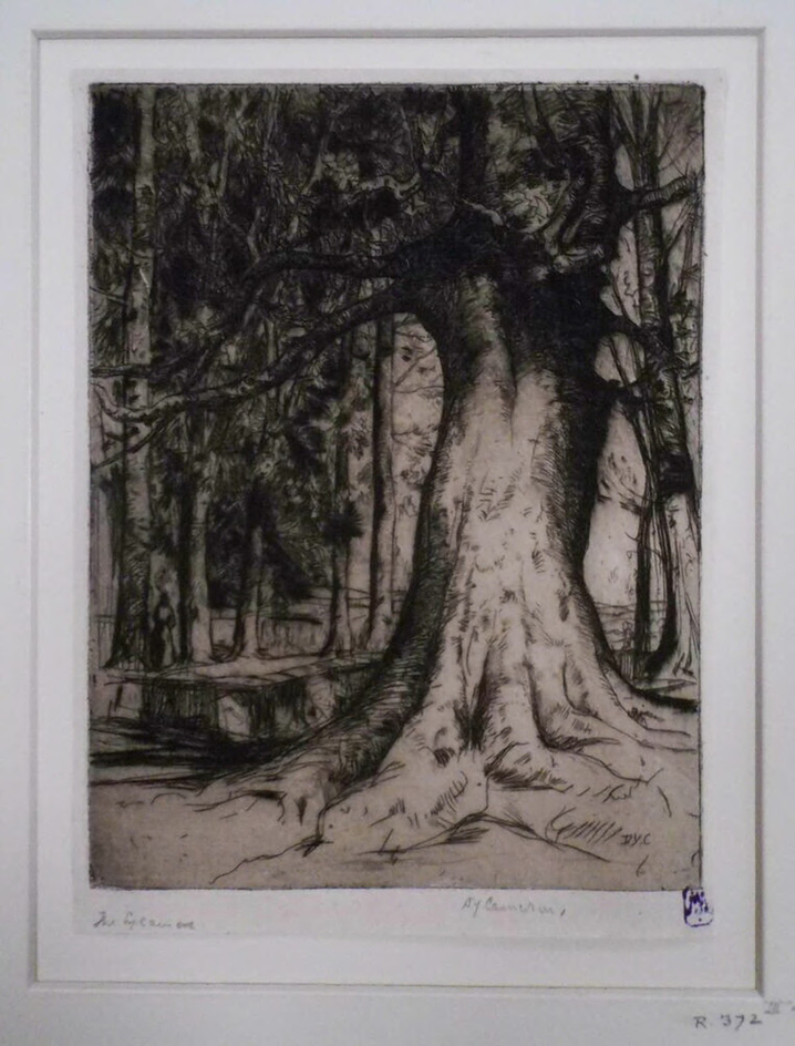 The Sycamore