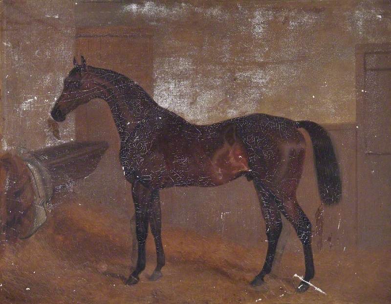 Bay 'Middleton', Winner of the Epsom Derby, 1836