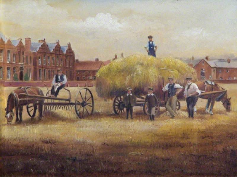 Harvest Scene