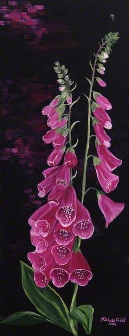 Foxgloves