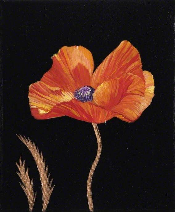 Poppies