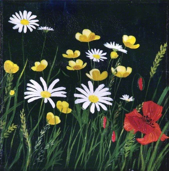 Poppies, Buttercups and Daisies