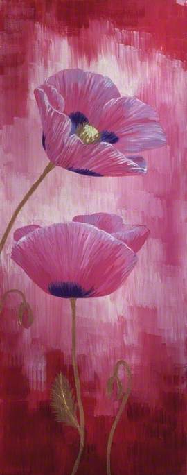 Pink Poppies