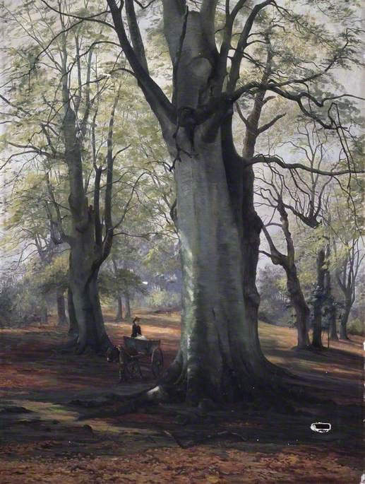 Forest Scenery, Windsor