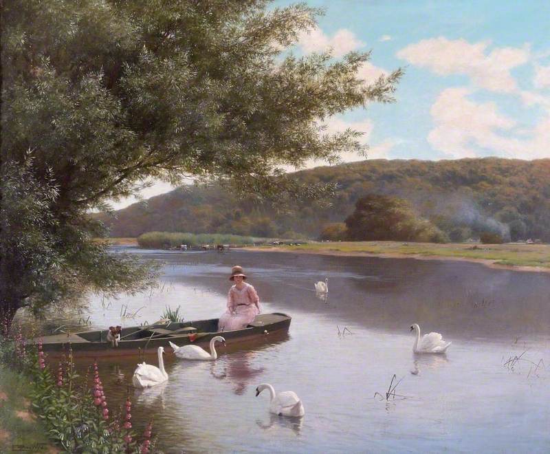 River with Swans