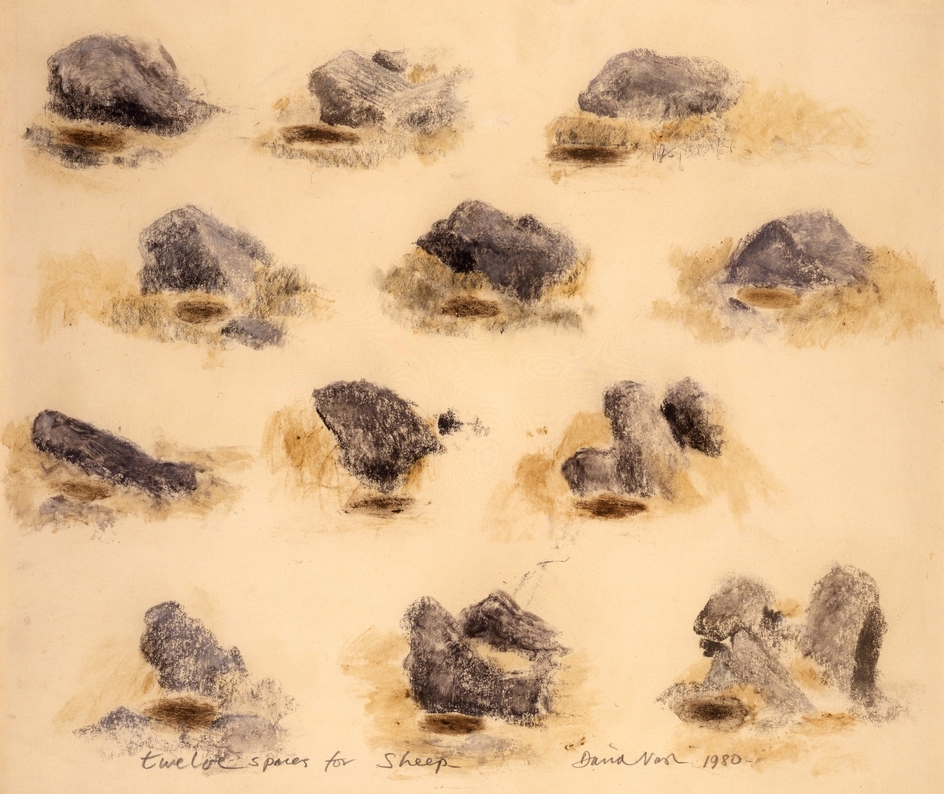Twelve Spaces for Sheep