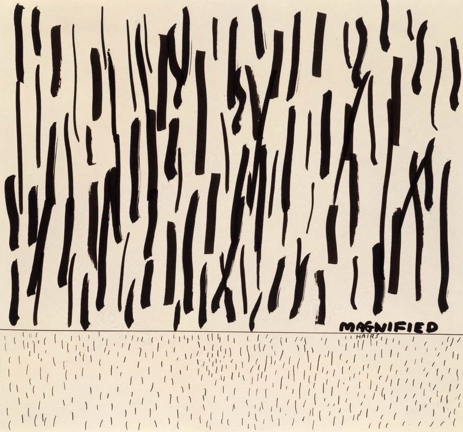 Magnified Hairs