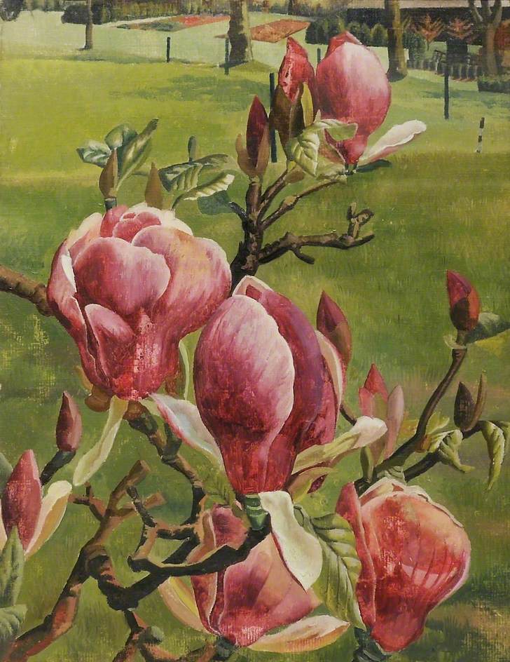 Magnolias by Stanley Spencer on artnet