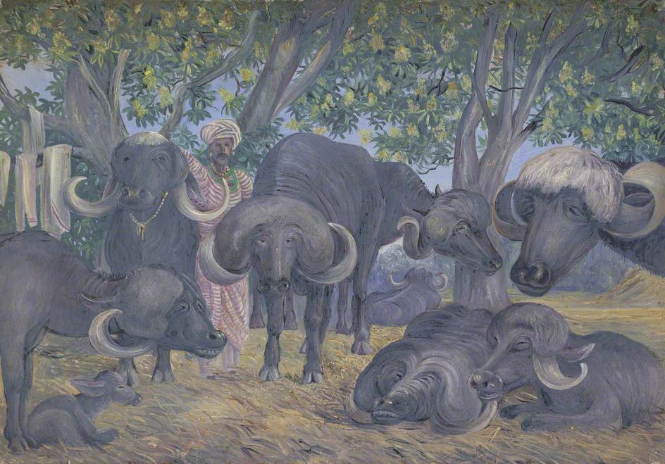 'Buffalos of Bhownuggar. Kattiwah. India. Febr. 1879'