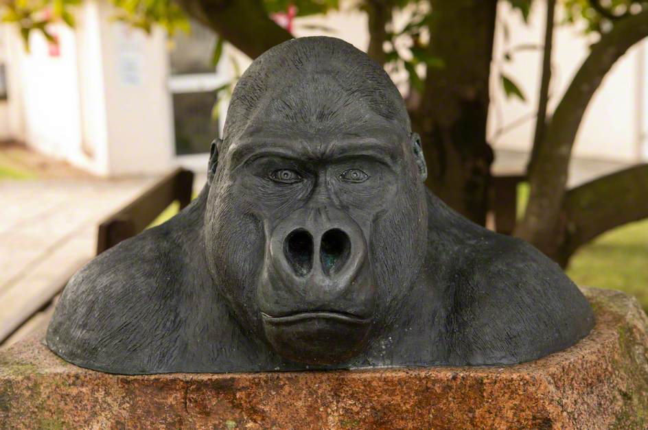 Gorilla