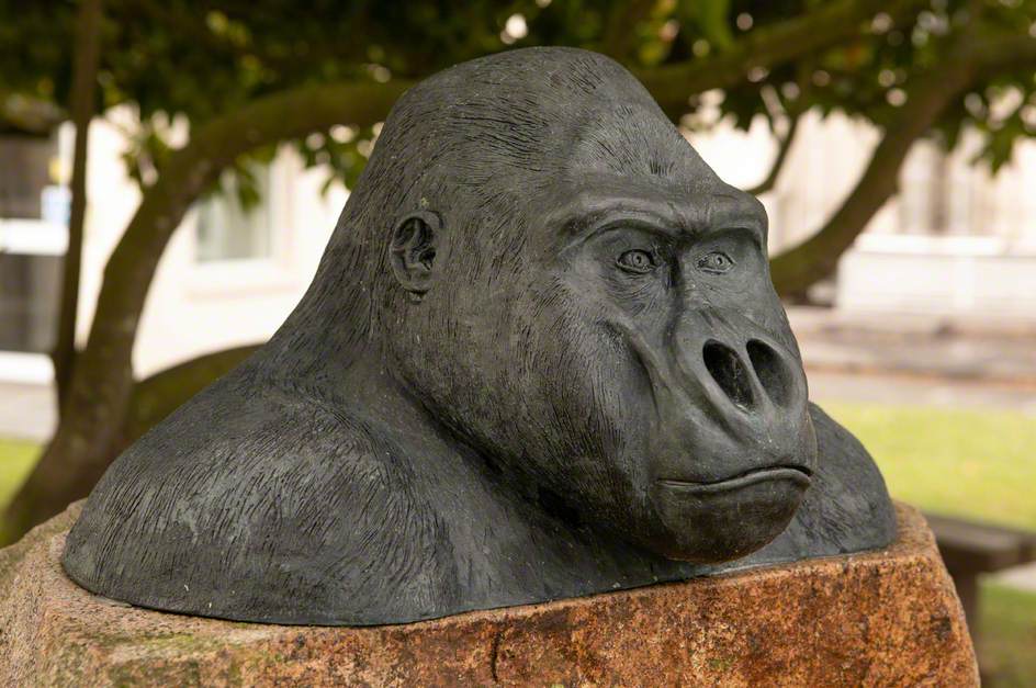 Gorilla