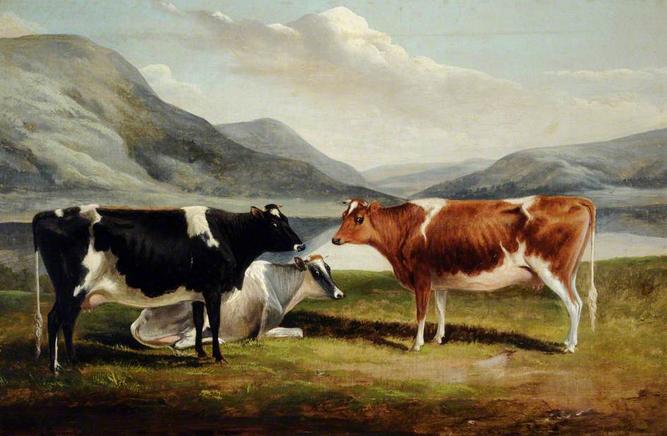 Three Jersey Cows in a Mountain Landscape
