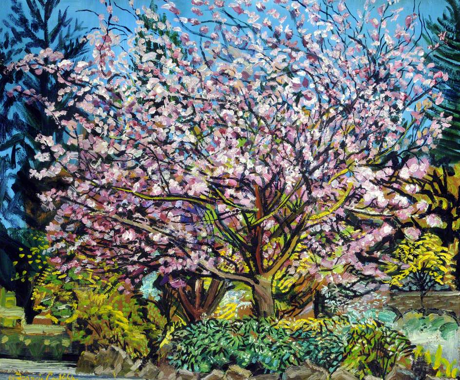 Flowering Cherry Tree near the Glass Church, Millbrook