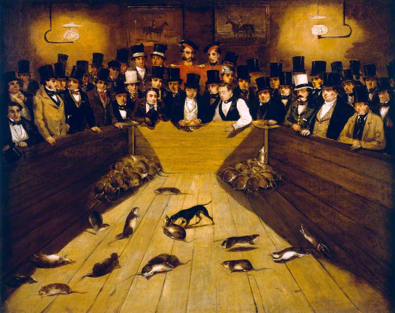 Rat-Catching at the 'Blue Anchor' Tavern, Bunhill Row, Finsbury, London