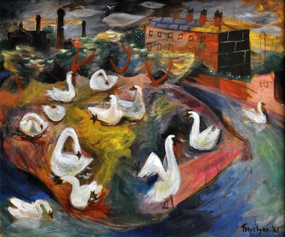 Swans