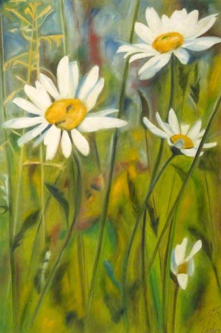 Daisies