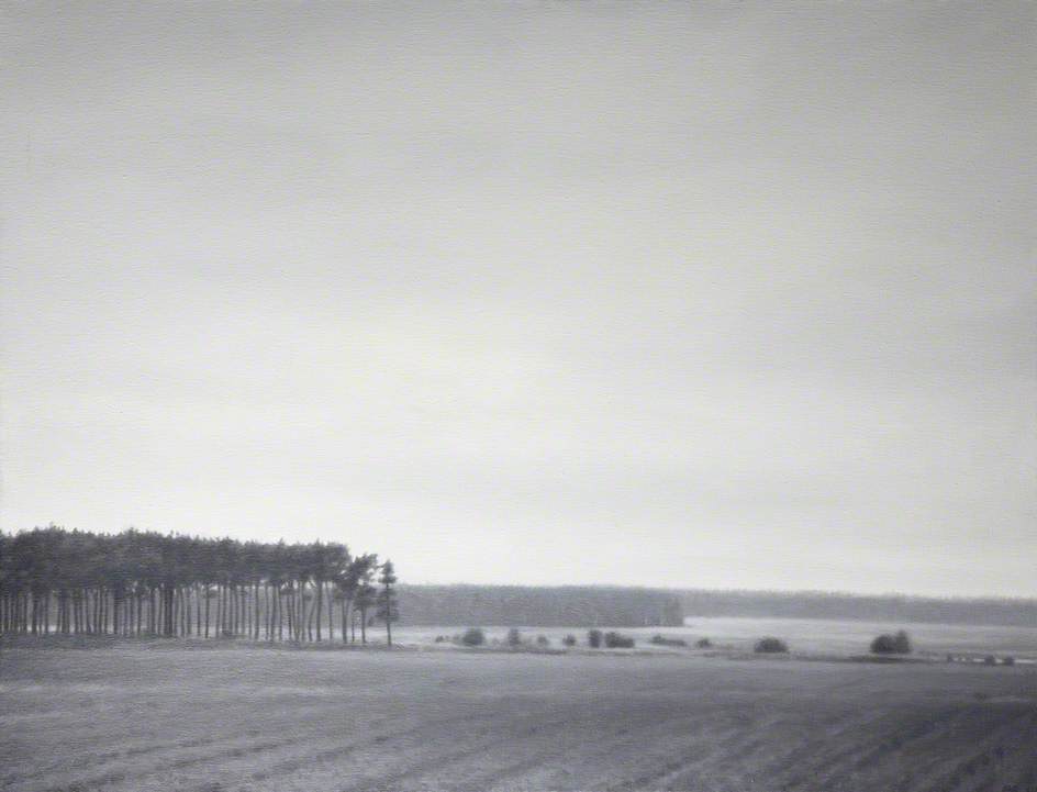 The Forest Edge, Augustowska, Poland