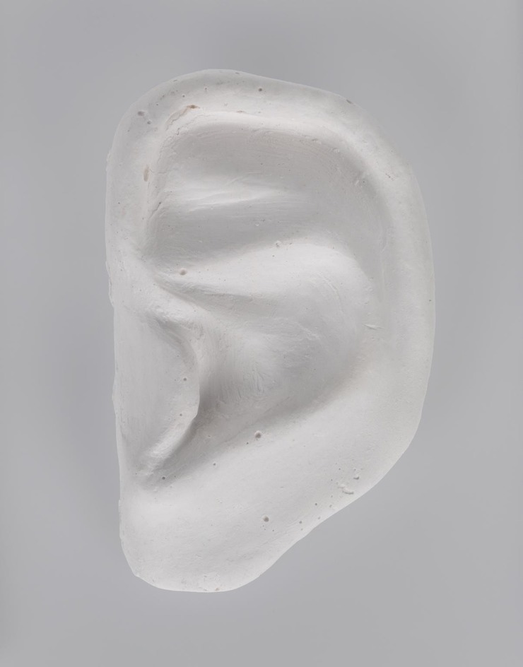 Medium Left Ear