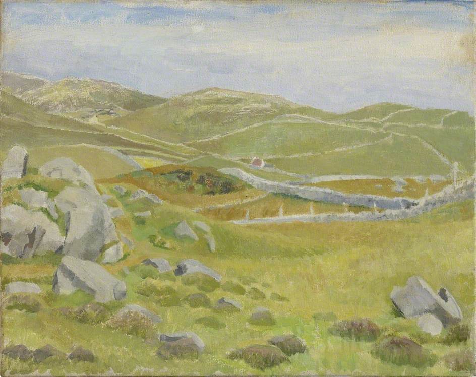 Irish Landscape