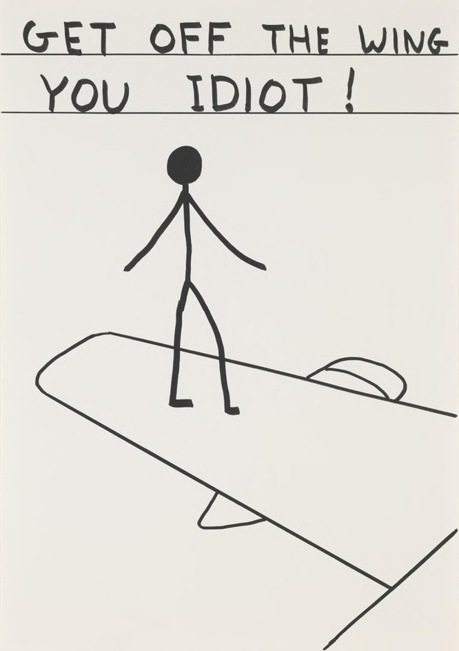 Untitled (Get Off the Wing You Idiot)