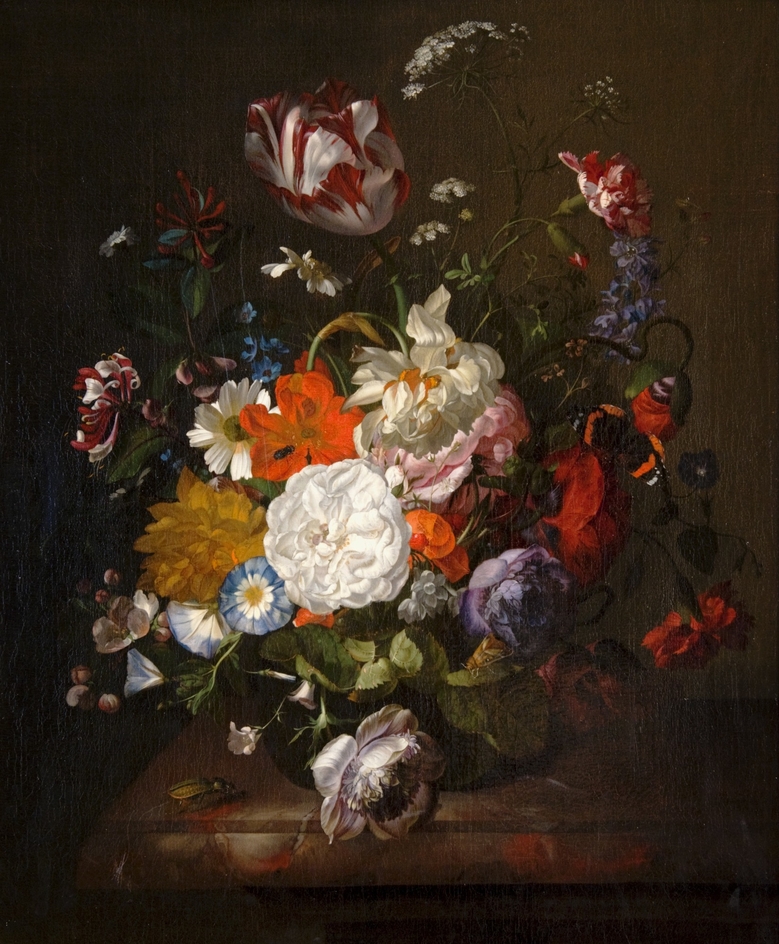 Still Life, Flowers and Insects