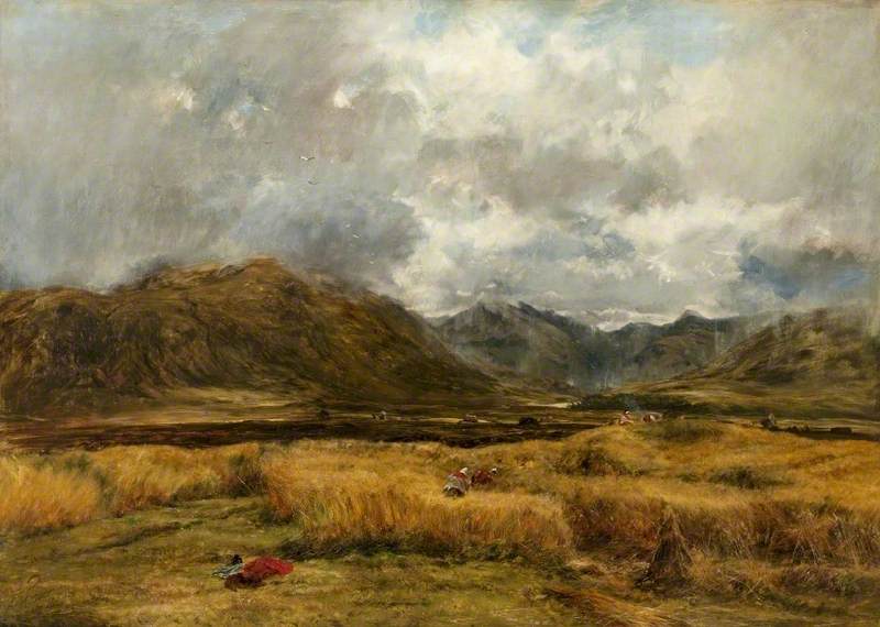 Harvest in the Highlands