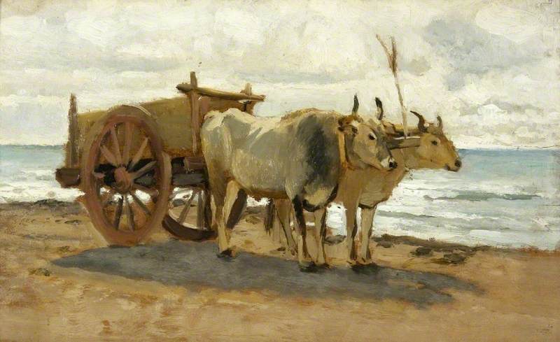 Bullocks Drawing a Cart