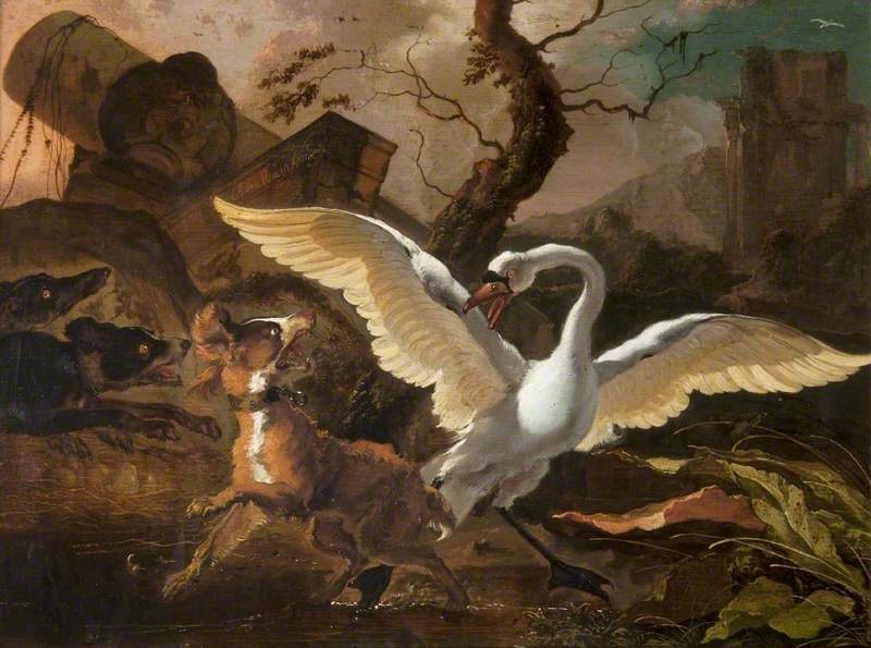 A Swan Enraged by Dogs, Abraham Hondius
