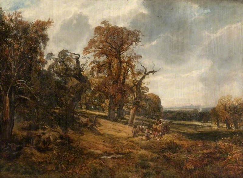 Cadzow Forest, Autumn