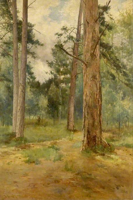 Landscape, Woodland Scene