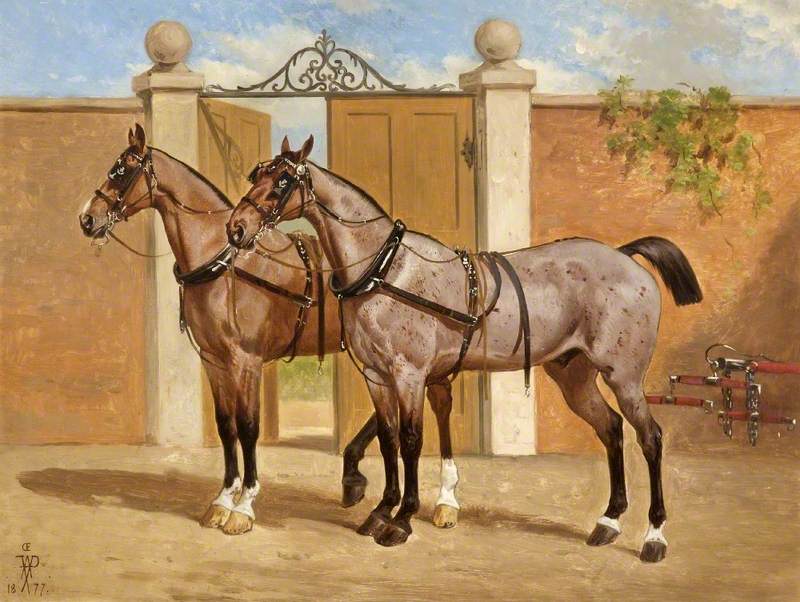 A Pair of Horses in Harness in front of a Gate