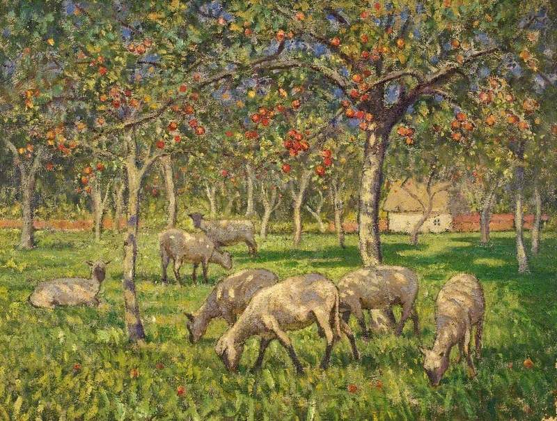 Sheep in an Orchard at Kemerton, Gloucestershire