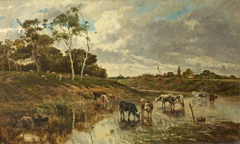 Cattle in a Stream