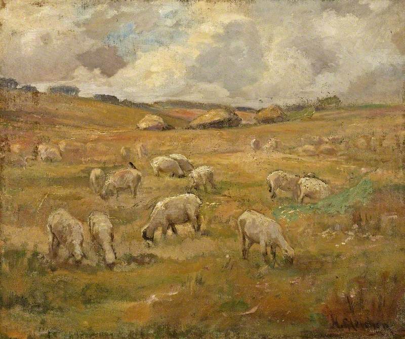 Landscape with Sheep